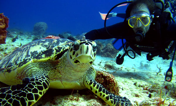 Ironman Cozumel