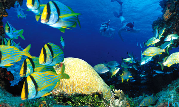 Ironman Cozumel